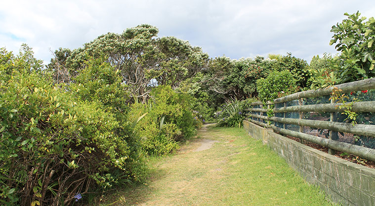 Pacific Parade Coastal Reserve - Area of open green space and trees. Photo credit: M Loubser.