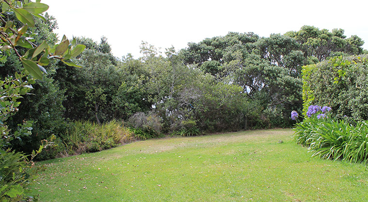 Pacific Parade Coastal Reserve - Area of open green space and trees. Photo credit: M Loubser.