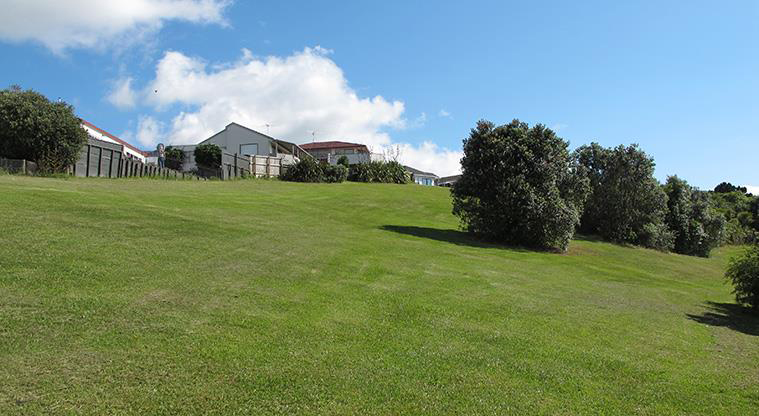 Pahi Park - A section of hill within the park with large trees and houses in the background.