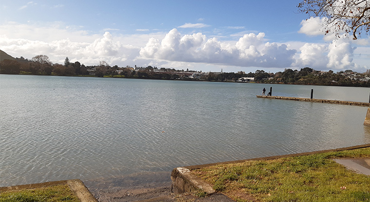 Panmure Basin - View of the basin.