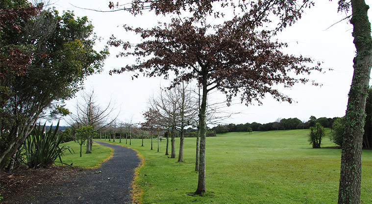 Paremuka Lakeside - Open space with a tree-lined path. Photo credit: Tracey Hodder.