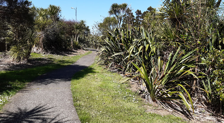 Paremuka Wetland – Gravel path from the northern area of Xena Park through to Rosa Place.