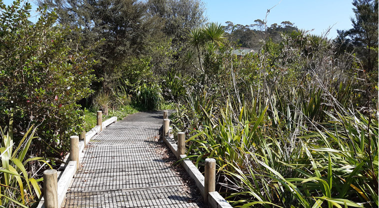 Paremuka Wetland – Timber boardwalk sections within Paremuka Wetland.