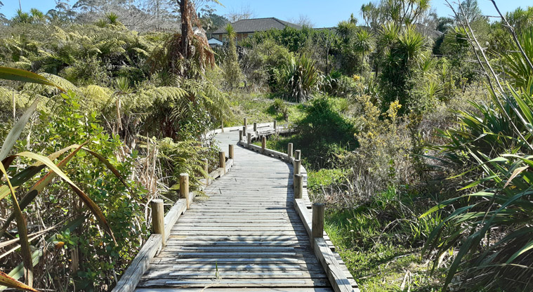 Paremuka Wetland – Timber boardwalk sections within Paremuka Wetland.