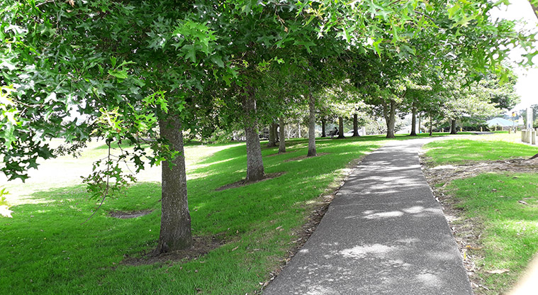 Parrs Park - Path under the trees.