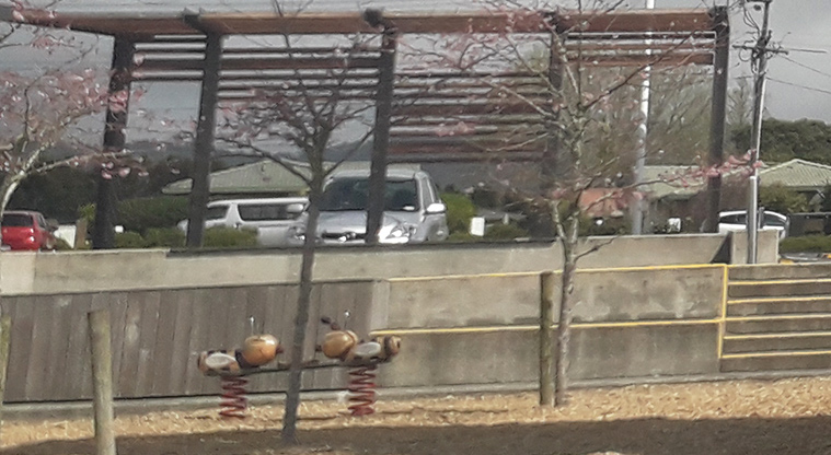 Parrs Park - Rocking insect with car parking in the background.