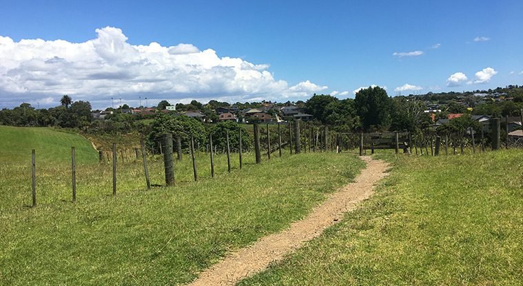 Ōhuiarangi / Pigeon Mountain - A short section of track with fences and open grassed space.