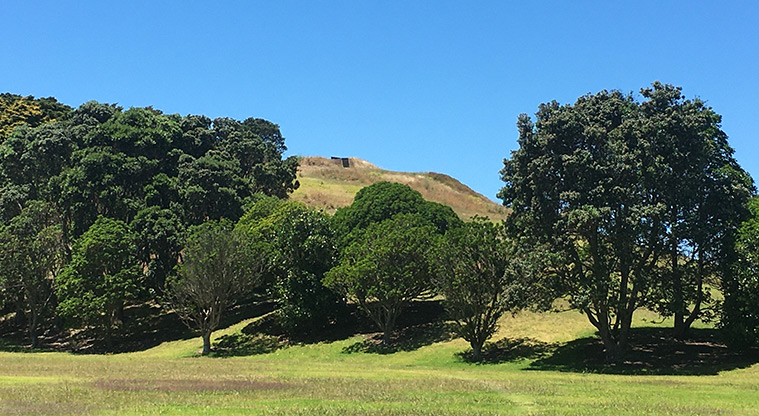 Ōhuiarangi / Pigeon Mountain - Large trees with a section of the maunga in the background.