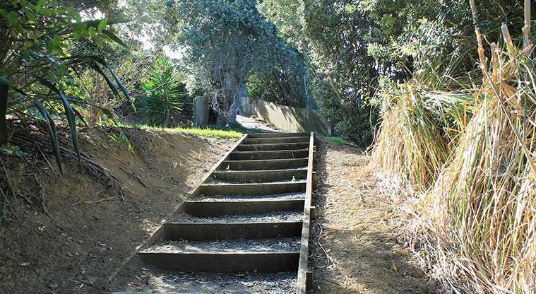 Pinecrest Drive Reserve - Section of steps up to the walkway. Photo credit: M Loubser.
