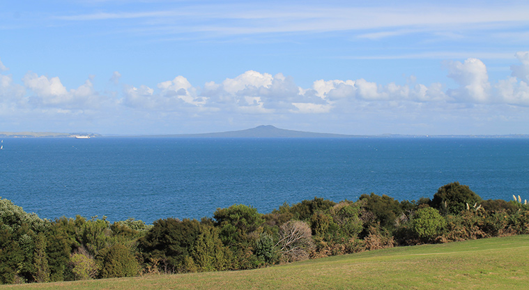 Pinecrest Drive Reserve - Grassed area with trees and sea view in the background. Photo credit: M Loubser.