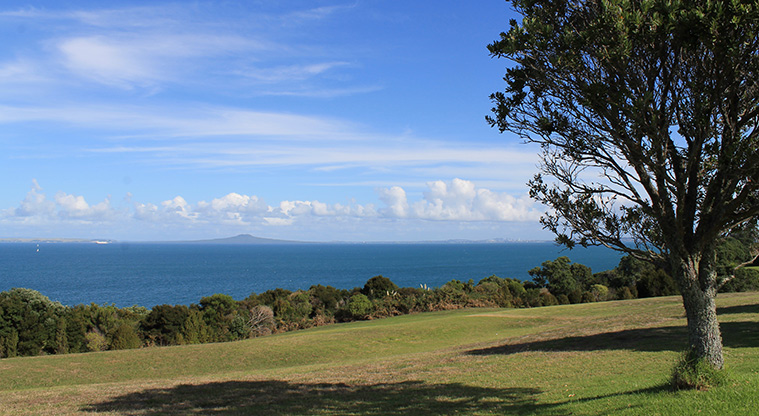 Pinecrest Drive Reserve - Grassed area with trees and sea view in the background. Photo credit: M Loubser.