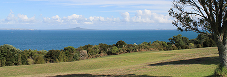 Pinecrest Drive Reserve