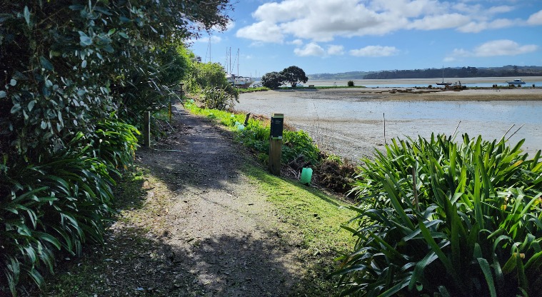 Pōhutukawa Avenue Esplanade Reserve - Walking path with bushes on both sides overlooking the sea.