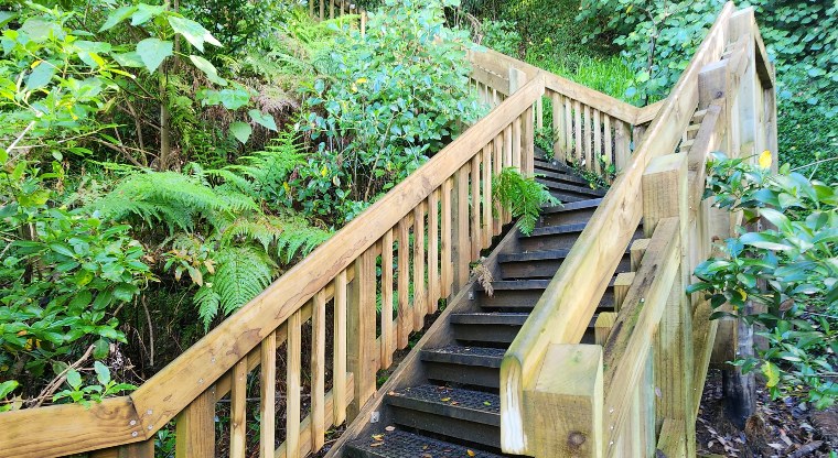 Pōhutukawa Avenue Esplanade Reserve - Staircase with bushes on both sides.