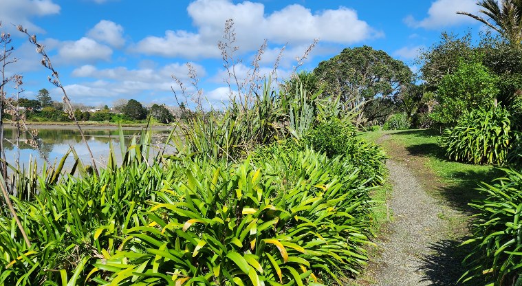 Pōhutukawa Avenue Esplanade Reserve - Walking path with bushes on both sides.