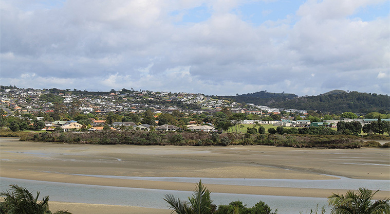 Pōhutukawa Reserve - Views of the Ōrewa Estuary. Photo credit: M Loubser.