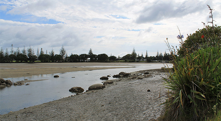 Pōhutukawa Reserve - Views of the Ōrewa Estuary. Photo credit: M Loubser.