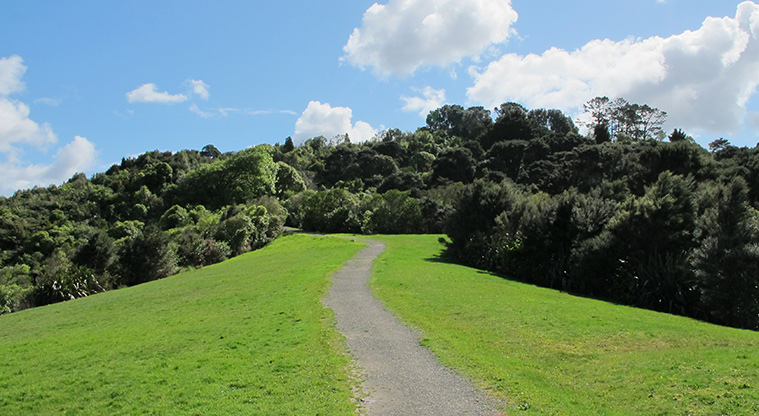 Point View Reserve - Section of gravel track through the reserve.