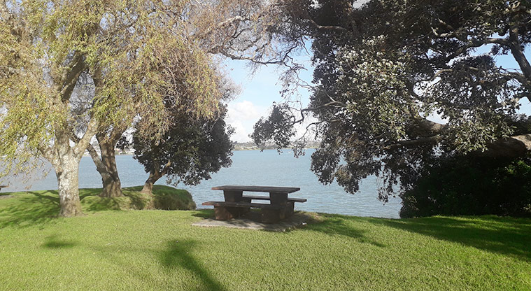 Point England Reserve - Seat with a view overlooking the Tamaki River.