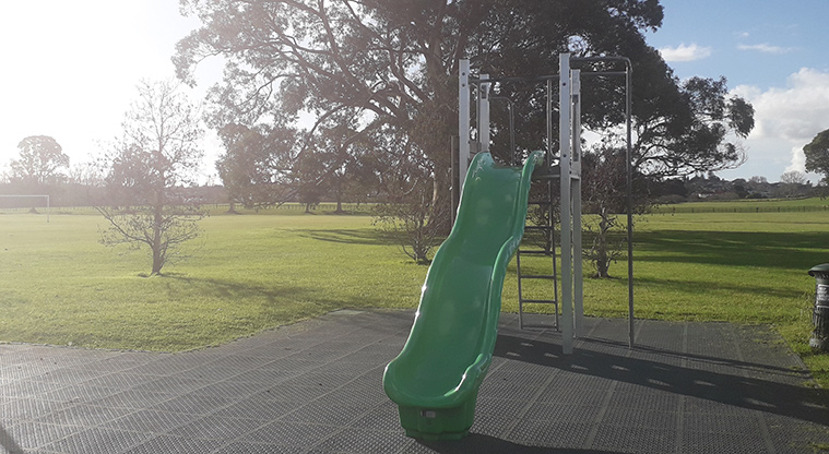 Point England Reserve - Slide.