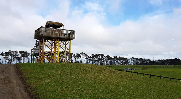 Puhinui Reserve - The viewing tower sitting on a small hill at the reserve.