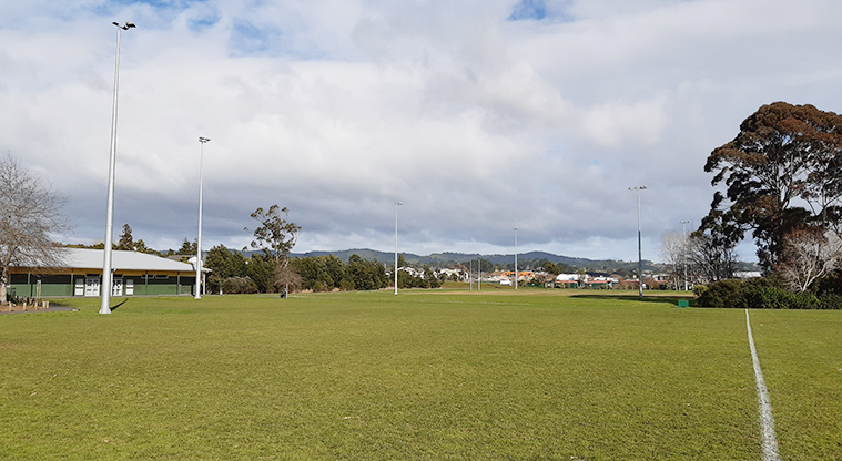 Rānui Domain - Sports fields with flood lighting. Photo credit: Tracey Hodder.