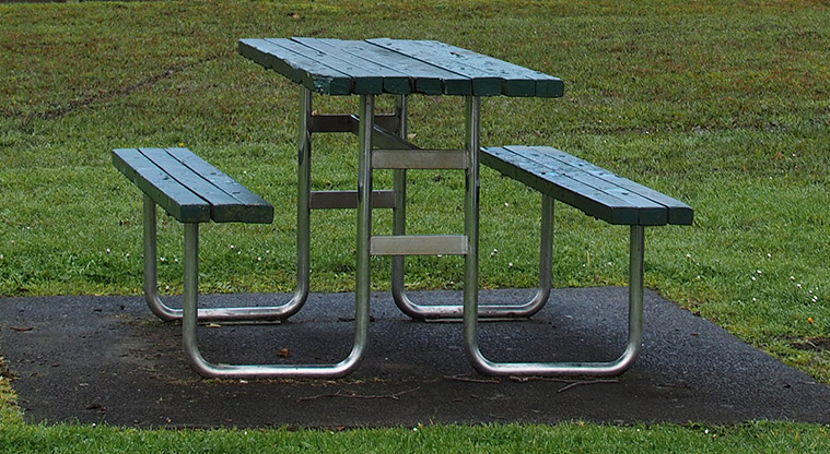 Rānui Domain - Picnic table and seating. Photo credit: Tracey Hodder.