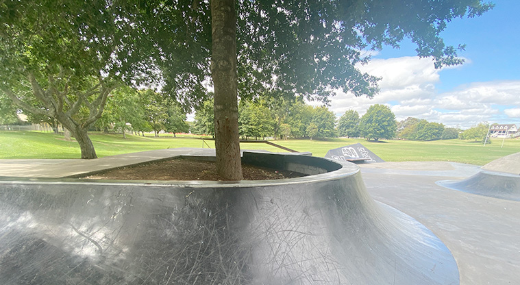 Otaawhati / Ray Small Park - Raised skate mound around a tree with the sports fields in the background. Photo credit: J Farnworth.