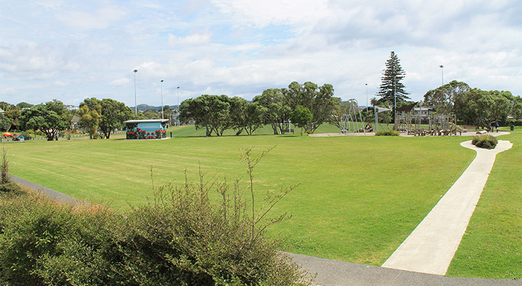Red Beach Park - Open grassed area with a path leading to the playground. Sports fields and the toilets are in the background. Photo credit: M Loubser.
