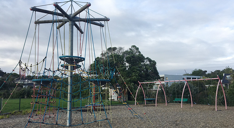 Roberta Reserve - Climbing nets with high basket swings, and a set of five other swings in the background.