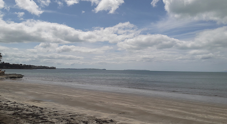 Rothesay Bay Beach Reserve - View of the beach looking north.