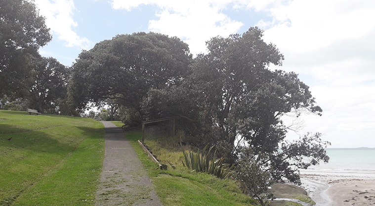 Rothesay Bay Beach Reserve - Section of path leading up the hill from the northern end of the beach.