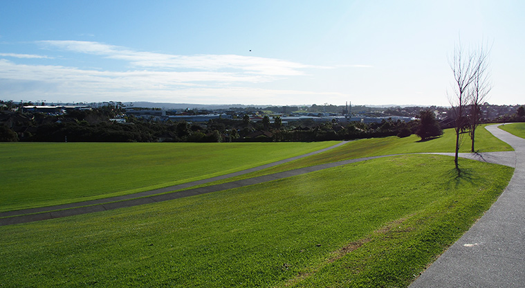 Royal Reserve - Large open sports fields with paths leading to different parts of the reserve. Photo credit: Tracey Hodder.