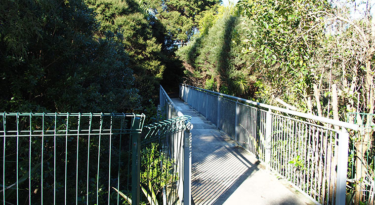 Pukewhakataratara / Rush Creek Reserve - One of the bridges along the bush walk.