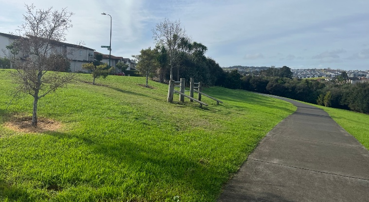 Salford Park- Walking path with grass and some trees on both sides.