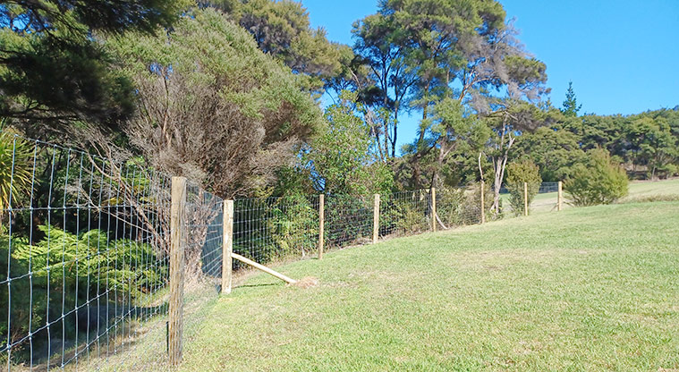 Sanders Reserve - Section of the fully fenced dog exercise area.