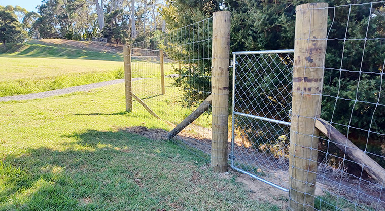 Sanders Reserve - Section of the fully fenced dog exercise area with one of the entrance gates.