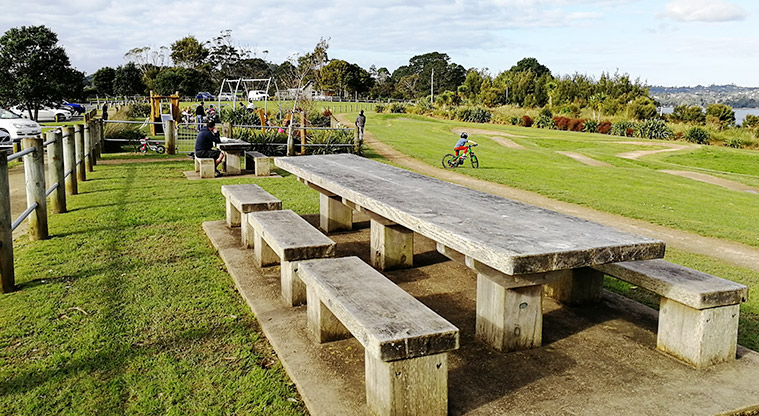 Sanders Reserve - Large picnic table and seating with the playground in the background.