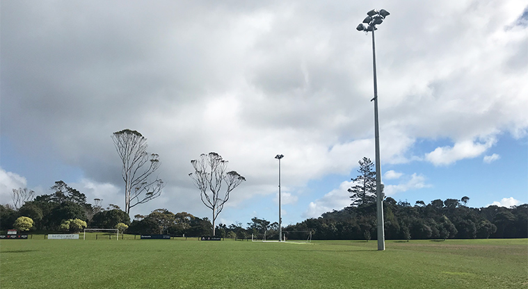 Shepherds Park – Sports field and lighting.