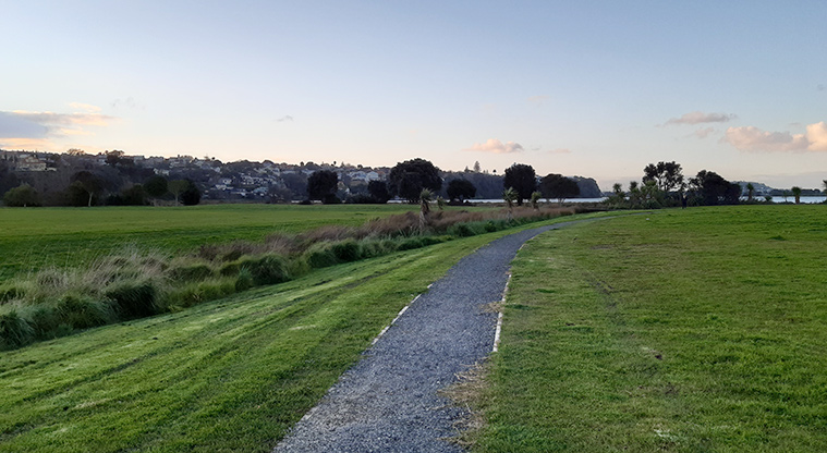 Shore Road Reserve - Section of gravel path leading through the open space towards Hobson Bay.