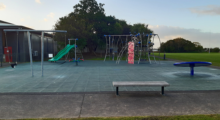 Shore Road Reserve - The playground next to the sports fields.