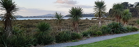 Shore Road Reserve