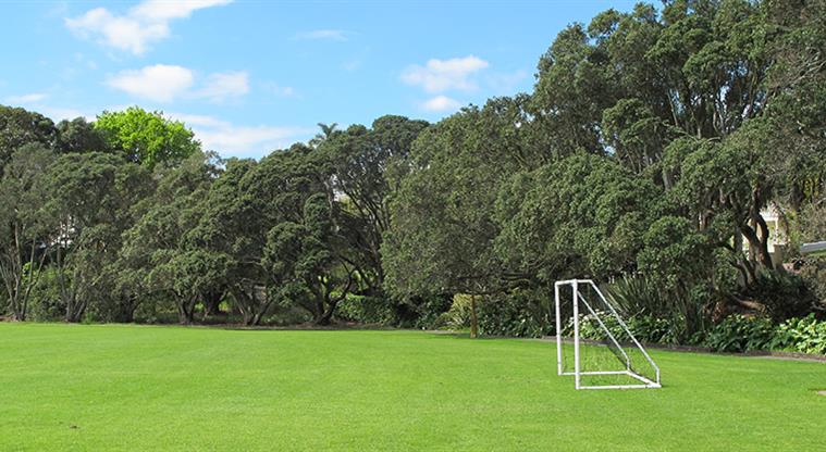 Stanley Bay Park - Section of one of the sports field with soccer goal, and established trees in the background.