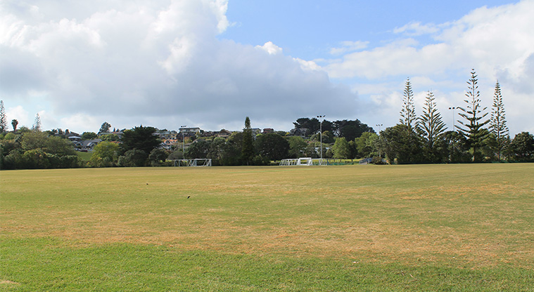 Stanmore Bay Park - Soccer fields. Photo credit: M Loubser.