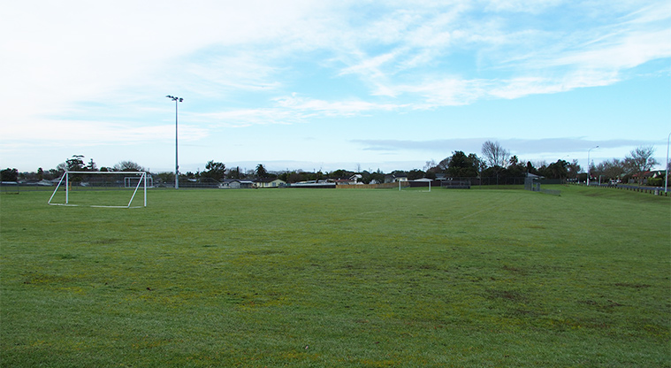Starling Park - Sports fields with goal nets and flood lights. Photo credit: Tracey Hodder.
