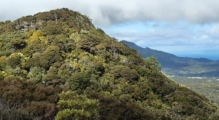 Station Rock Walkway - Section of the mountain.