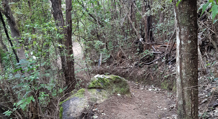 Station Rock Walkway - Section of the walkway.