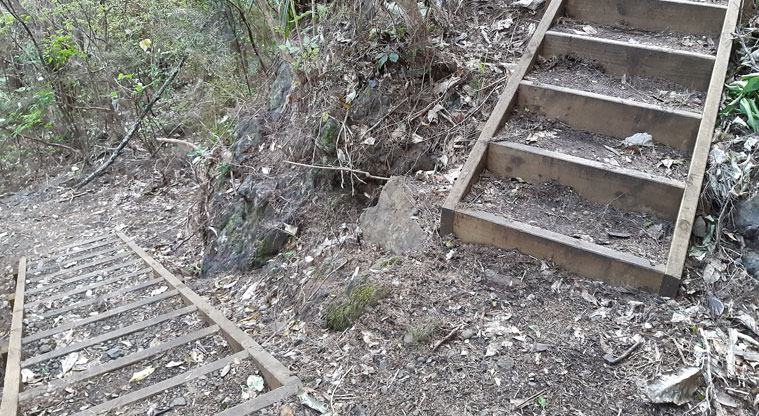 Station Rock Walkway - Two sections of wooden steps.