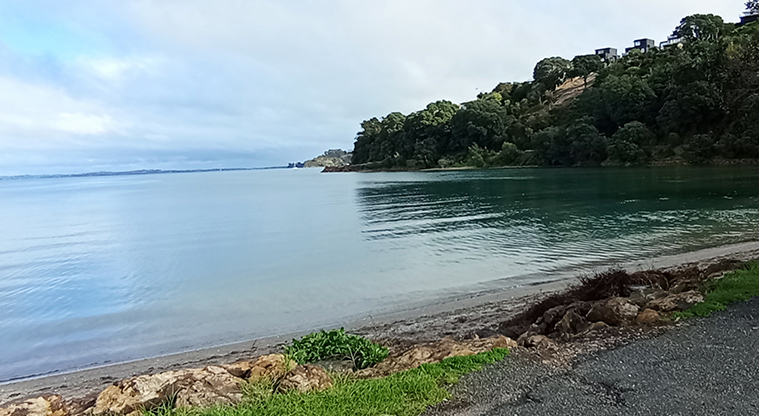 Surfdale Beach - Looking across Huruhi Bay. Photo credit: K Sumner.