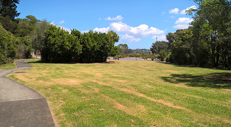 Taipari Strand – Open space and trees with a path leading to the car park. Photo credit: Tracey Hodder.